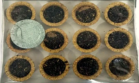 Tray of Shree Aroma Hawan dhoop cups with natural rims