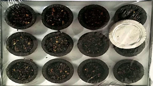 Tray of Shree Aroma Loban dhoop cups with a holder plate