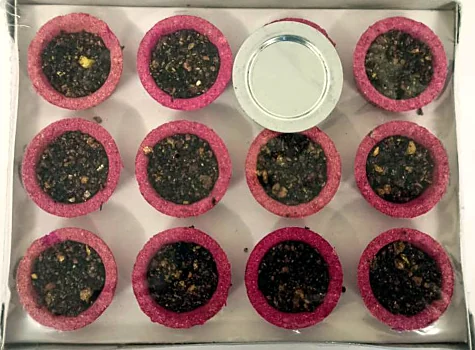 Tray of Shree Aroma Rose dhoop cups with pink rims and a holder plate