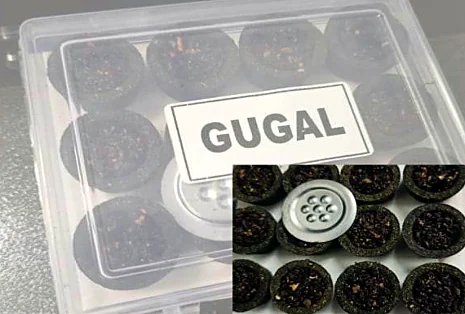 Shree Aroma Gugal mini dhoop cups in a clear box