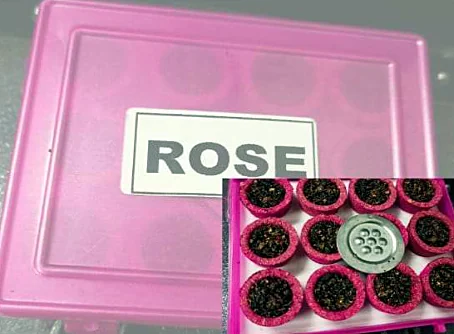 Shree Aroma Rose mini dhoop cups in a pink box